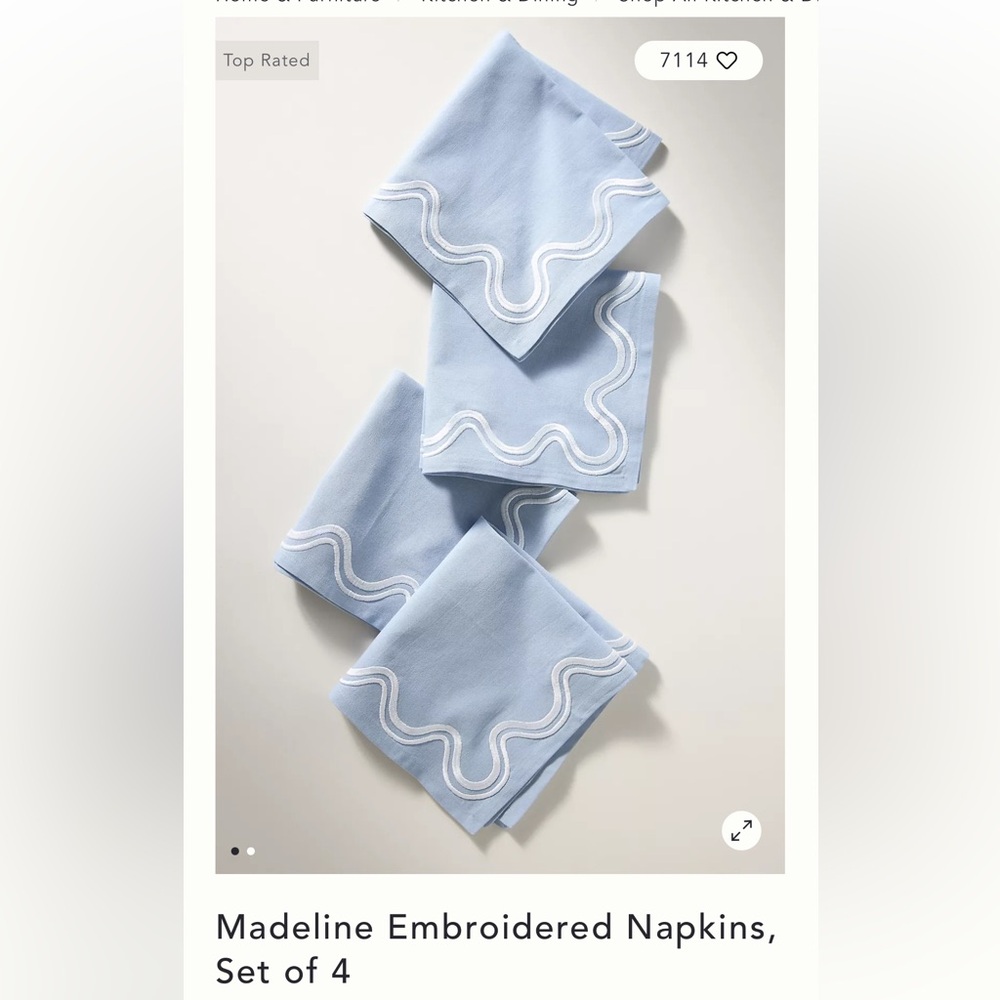 Anthropologie Madeline Embroidered Napkins - Light Blue with White Trim